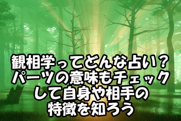 観相学ってどんな占い？パーツの意味もチェックして自身や相手の特徴を知ろう